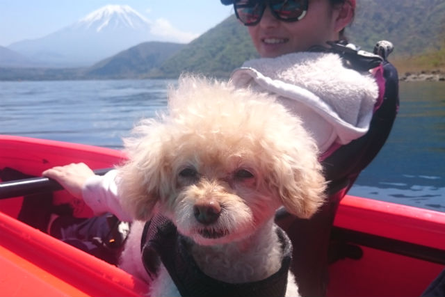本栖湖アクティビティセンター(ワンちゃんも一緒に楽しめます!)