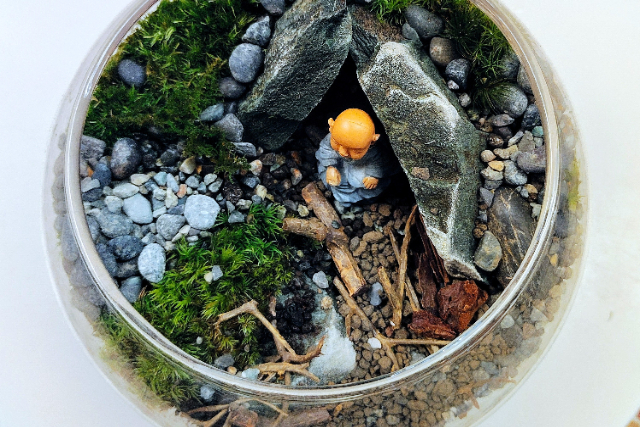 新宿・盆栽テラリウム】自然石で彩る箱庭風景「盆栽テラリウム」」の