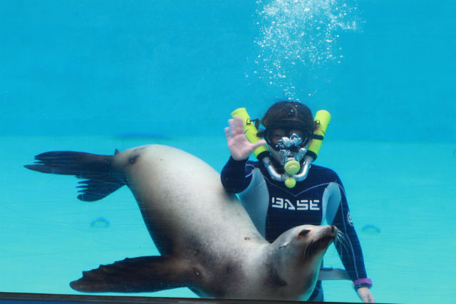静岡県の水族館ランキング6選 子供連れやファミリーにおすすめ ちりっく