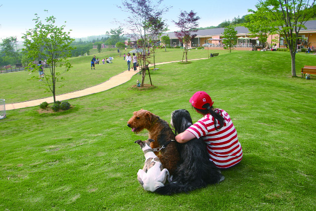 世界の名犬牧場